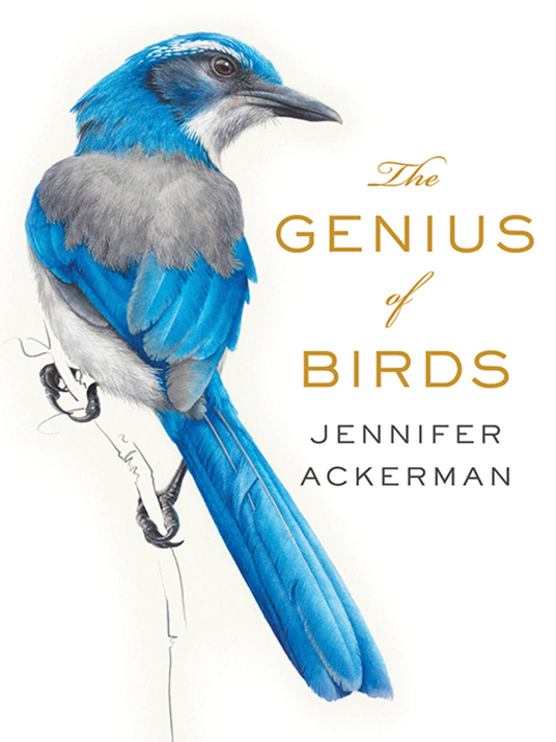 Title details for The Genius of Birds by Jennifer Ackerman - Wait list